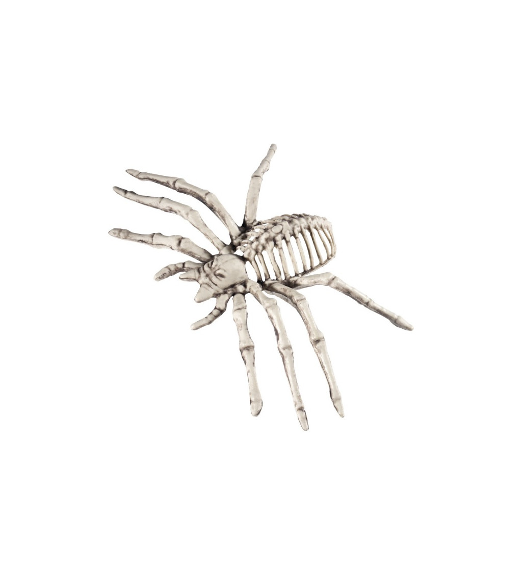 Dekoratív pók csontváz - kicsi
